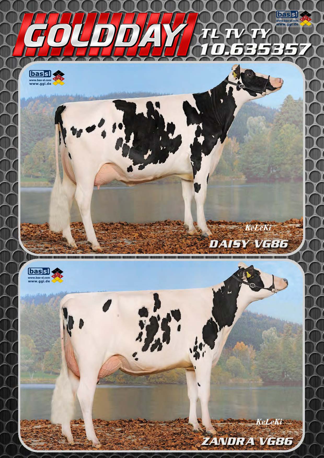 BAS·GGI | HOLSTEIN INTERNATIONAL | 635357 GOLDDAY